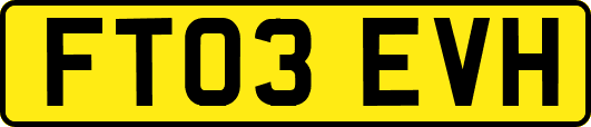FT03EVH