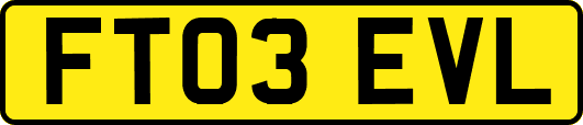 FT03EVL