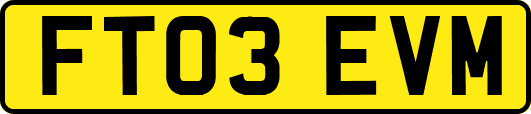 FT03EVM