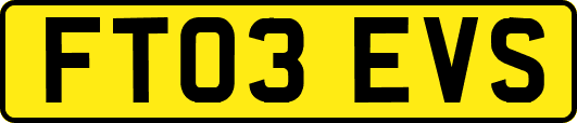 FT03EVS