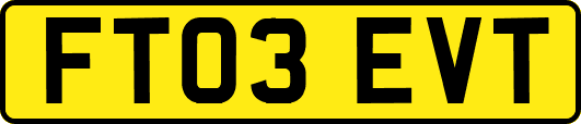 FT03EVT