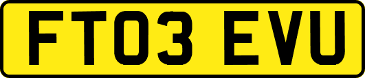 FT03EVU