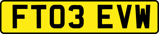 FT03EVW