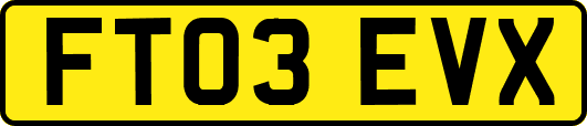 FT03EVX