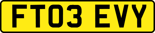 FT03EVY