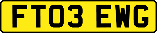 FT03EWG
