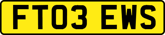 FT03EWS