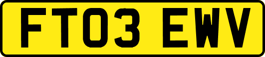 FT03EWV