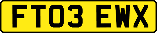 FT03EWX