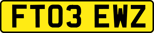 FT03EWZ