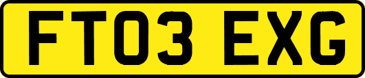FT03EXG