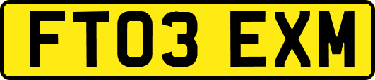 FT03EXM
