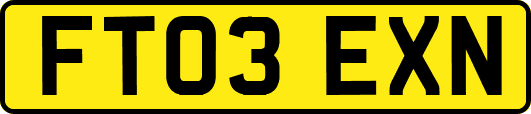 FT03EXN