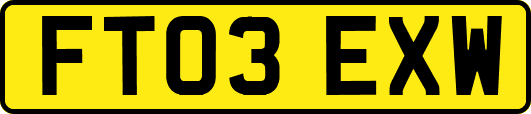 FT03EXW