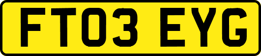 FT03EYG