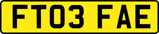 FT03FAE