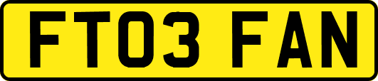 FT03FAN