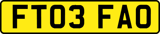 FT03FAO