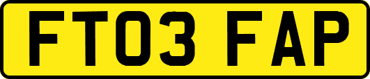 FT03FAP