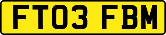 FT03FBM