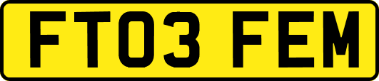 FT03FEM