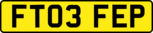 FT03FEP
