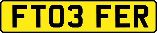 FT03FER