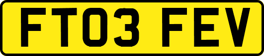 FT03FEV