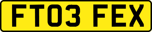 FT03FEX