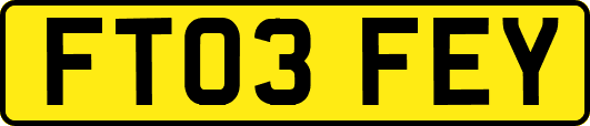 FT03FEY