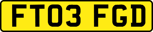 FT03FGD