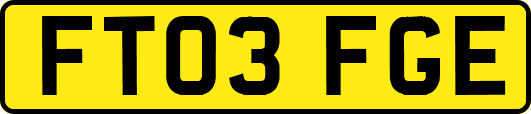 FT03FGE