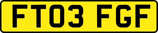 FT03FGF