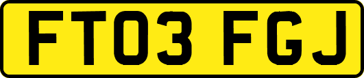 FT03FGJ