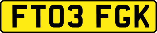 FT03FGK