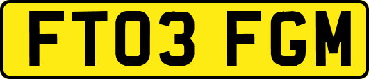 FT03FGM