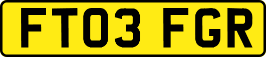 FT03FGR