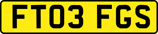 FT03FGS