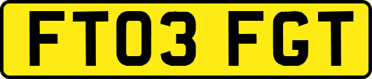 FT03FGT