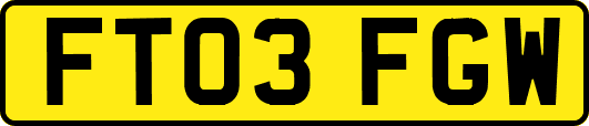 FT03FGW