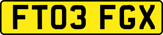 FT03FGX