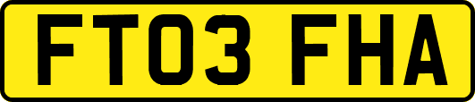 FT03FHA
