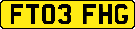FT03FHG
