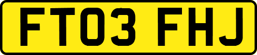 FT03FHJ