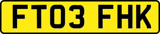 FT03FHK