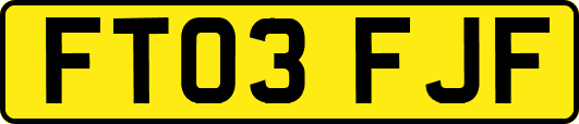 FT03FJF