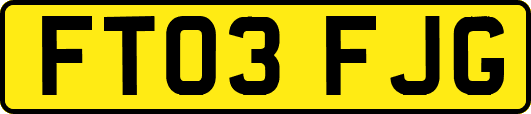 FT03FJG