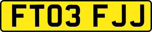 FT03FJJ