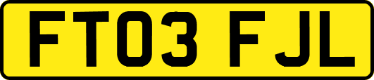 FT03FJL
