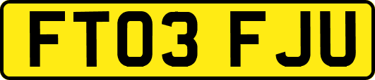 FT03FJU